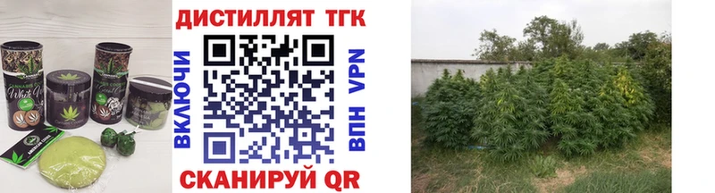 Canna-Cookies конопля  Купить закладки  Котово 